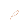 A copper-colored line-art icon of a feather or quill.